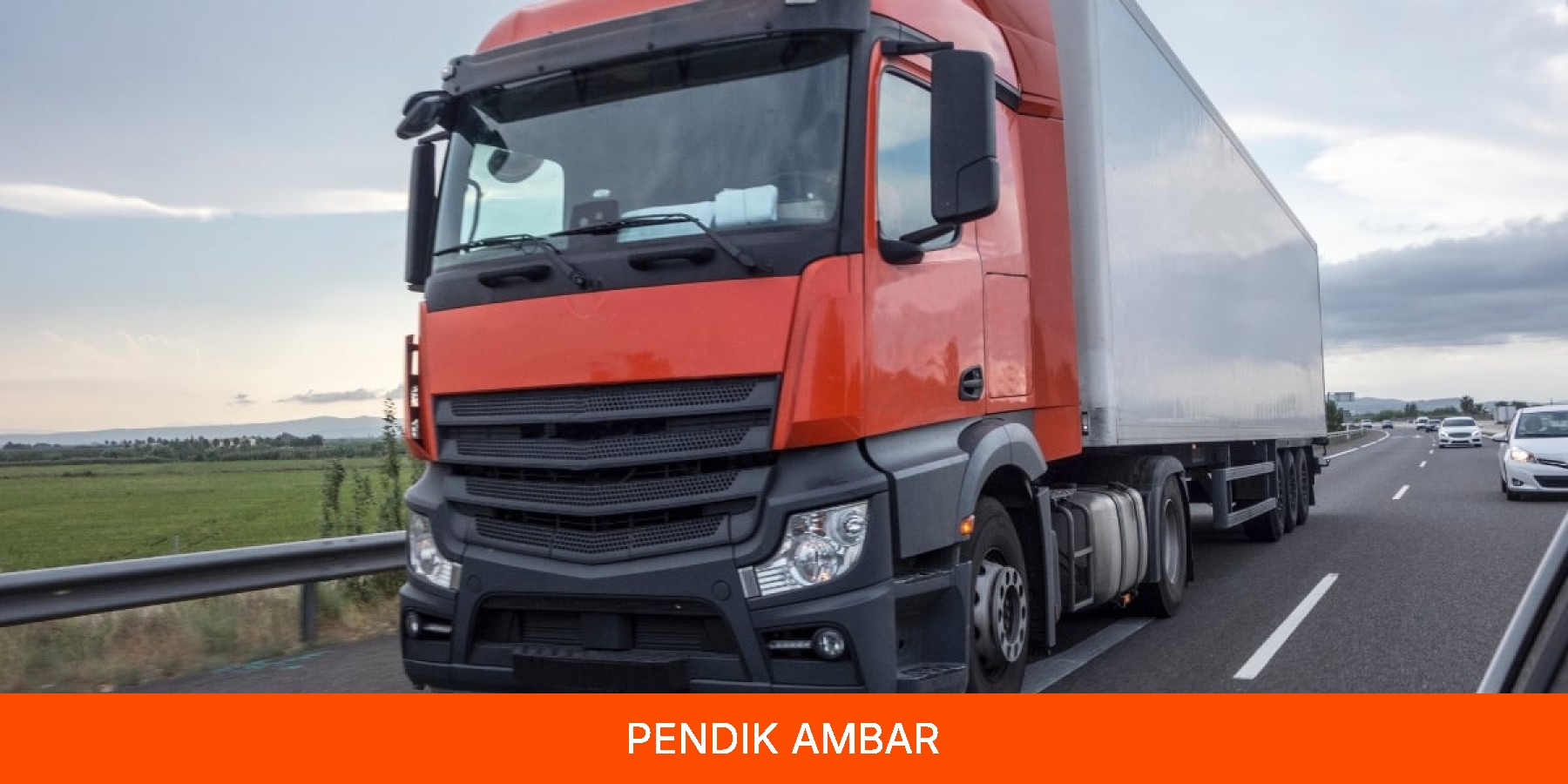 Pendik Ambar